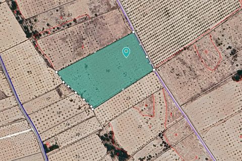 Helårsgrund i Monovar, Alicante, Monovar - € 50.000 | Ref: 70068 - foto 4