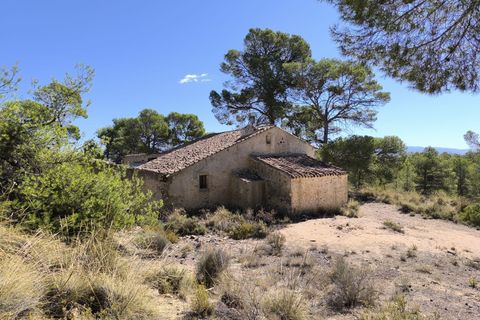Landejendom i Caudete, Albacete, Caudete - € 160.000 | Ref: 70070 - foto 1