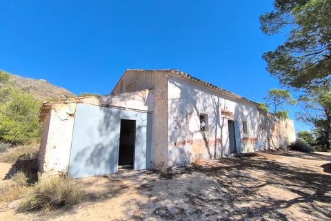 Landejendom i Caudete, Albacete, Caudete - € 160.000 | Ref: 70070 - foto 7