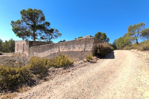 Landejendom i Caudete, Albacete, Caudete - € 160.000 | Ref: 70070 - foto 8