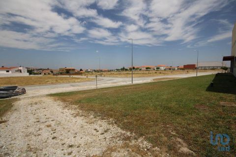 Terra a Almeida, Guarda, Almeida - € 41.600 | Ref: 148961 - foto 13