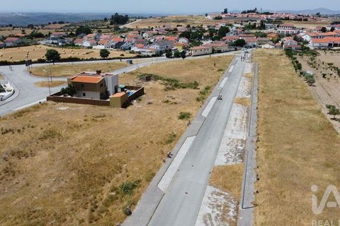 Terra a Almeida, Guarda, Almeida - € 41.600 | Ref: 148961 - foto 14