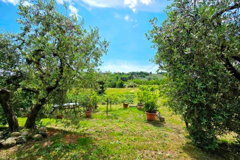 Villa i Capannori, Lucca, Capannori - € 490.000 | Ref: a6551rv2509315a - foto 10
