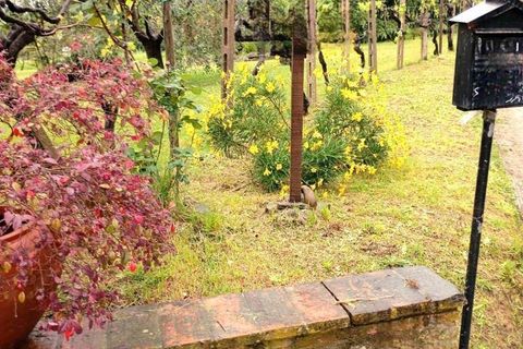 Villa i Capannori, Lucca, Capannori - € 490.000 | Ref: a6551rv2509315a - foto 24