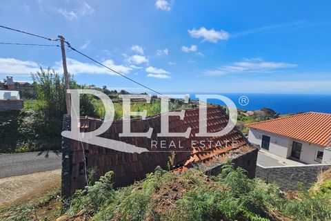 Terra a Ponta do Pargo, Madeira, Ponta do Pargo - € 135.000 | Ref: DEED/1021 - foto 3