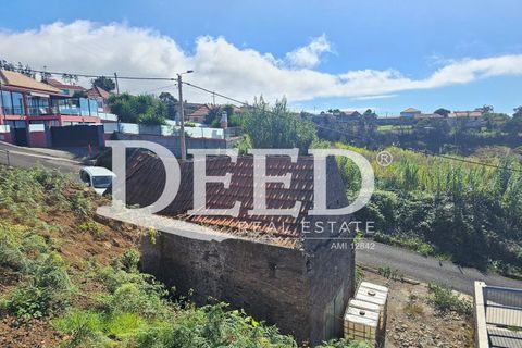 Terra a Ponta do Pargo, Madeira, Ponta do Pargo - € 135.000 | Ref: DEED/1021 - foto 5