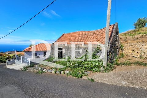 Terra a Ponta do Pargo, Madeira, Ponta do Pargo - € 135.000 | Ref: DEED/1021 - foto 7