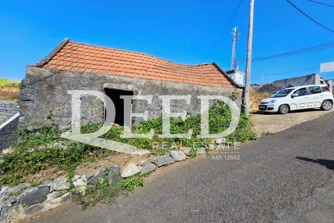 Terra a Ponta do Pargo, Madeira, Ponta do Pargo - € 135.000 | Ref: DEED/1021 - foto 8