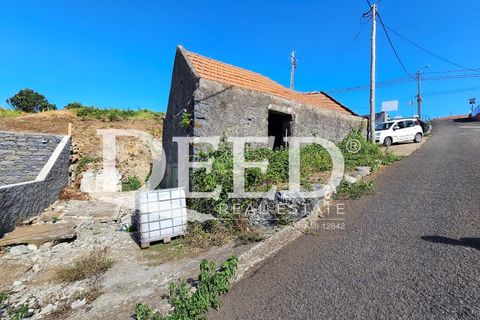 Terra a Ponta do Pargo, Madeira, Ponta do Pargo - € 135.000 | Ref: DEED/1021 - foto 9