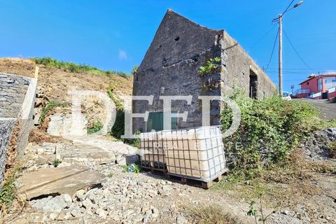 Terra a Ponta do Pargo, Madeira, Ponta do Pargo - € 135.000 | Ref: DEED/1021 - foto 11