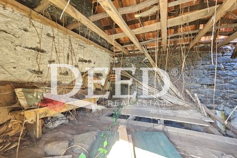 Terra a Ponta do Pargo, Madeira, Ponta do Pargo - € 135.000 | Ref: DEED/1021 - foto 12