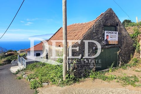 Terra a Ponta do Pargo, Madeira, Ponta do Pargo - € 135.000 | Ref: DEED/1021 - foto 13