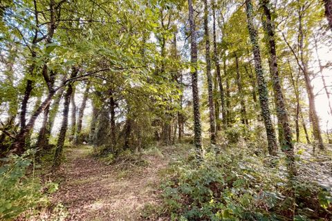 Villa em Lessac, Charente, Lessac - € 194.400 | Ref: 34893 - foto 31