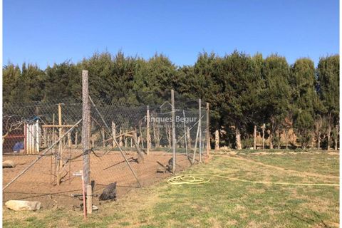 Terra a Begur, Gerona, Begur - € 1.500.000 | Ref: 3112 - foto 9