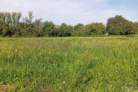 Terra a Ponte de Lima, Viana do Castelo, Ponte de Lima - € 59.000 | Ref: 150633 - foto 4