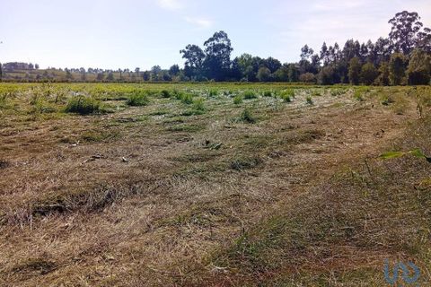 Terra a Ponte de Lima, Viana do Castelo, Ponte de Lima - € 59.000 | Ref: 150633 - foto 7