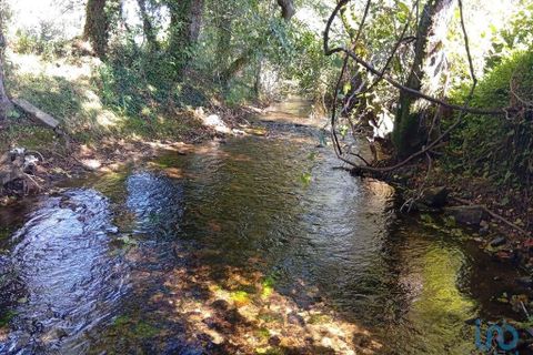Terra a Ponte de Lima, Viana do Castelo, Ponte de Lima - € 59.000 | Ref: 150633 - foto 5
