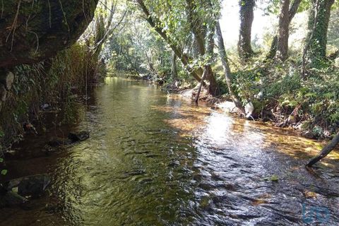 Terra a Ponte de Lima, Viana do Castelo, Ponte de Lima - € 59.000 | Ref: 150633 - foto 6