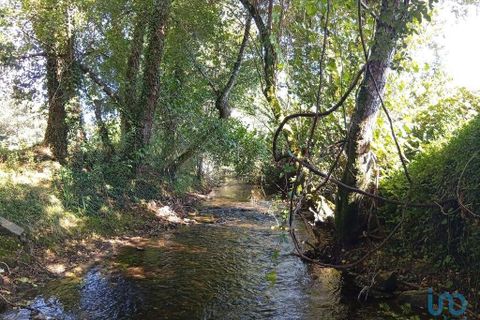 Terra a Ponte de Lima, Viana do Castelo, Ponte de Lima - € 59.000 | Ref: 150633 - foto 9