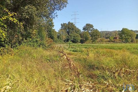 Terra a Ponte de Lima, Viana do Castelo, Ponte de Lima - € 59.000 | Ref: 150633 - foto 12