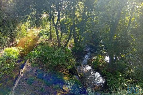 Terra a Ponte de Lima, Viana do Castelo, Ponte de Lima - € 59.000 | Ref: 150633 - foto 14