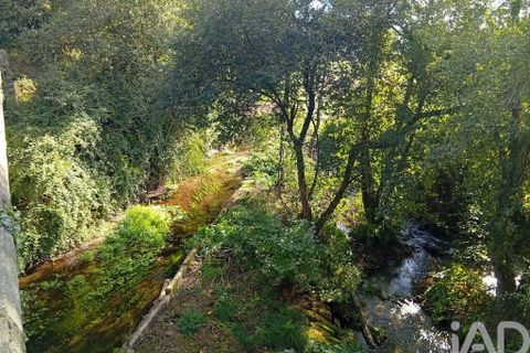 Terra a Ponte de Lima, Viana do Castelo, Ponte de Lima - € 59.000 | Ref: 150633 - foto 15
