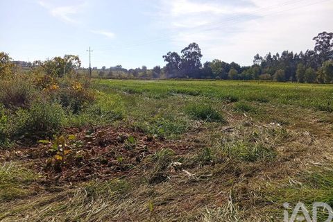 Terra a Ponte de Lima, Viana do Castelo, Ponte de Lima - € 59.000 | Ref: 150633 - foto 16