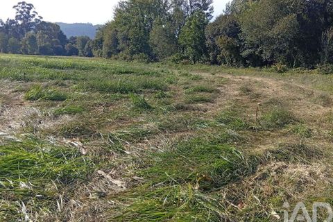 Terra a Ponte de Lima, Viana do Castelo, Ponte de Lima - € 59.000 | Ref: 150633 - foto 17