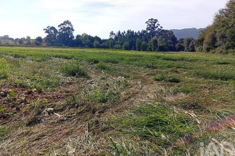 Terra a Ponte de Lima, Viana do Castelo, Ponte de Lima - € 59.000 | Ref: 150633 - foto 18