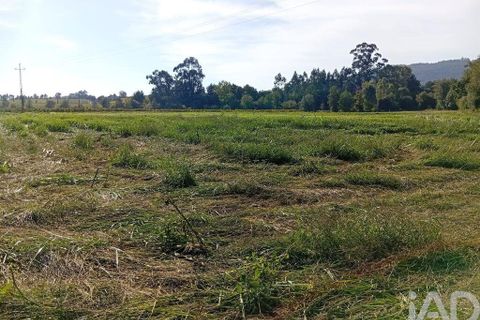 Terra a Ponte de Lima, Viana do Castelo, Ponte de Lima - € 59.000 | Ref: 150633 - foto 19