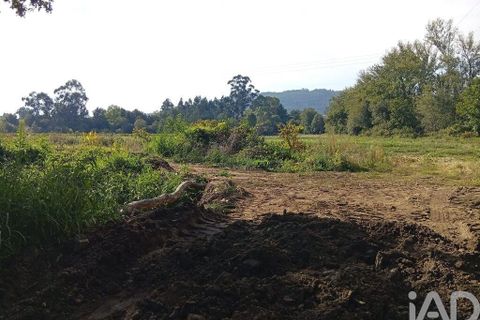 Terra a Ponte de Lima, Viana do Castelo, Ponte de Lima - € 59.000 | Ref: 150633 - foto 22