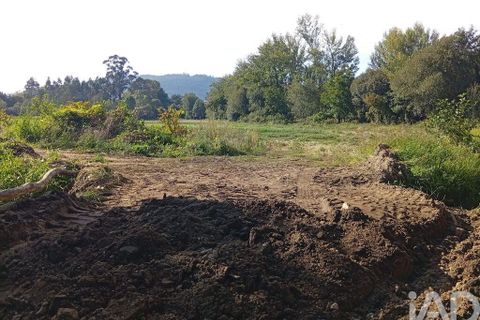 Terra a Ponte de Lima, Viana do Castelo, Ponte de Lima - € 59.000 | Ref: 150633 - foto 23