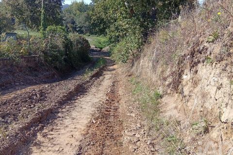 Terra a Ponte de Lima, Viana do Castelo, Ponte de Lima - € 59.000 | Ref: 150633 - foto 24