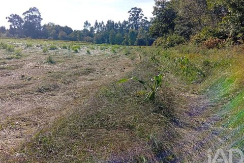 Terra a Ponte de Lima, Viana do Castelo, Ponte de Lima - € 59.000 | Ref: 150633 - foto 25