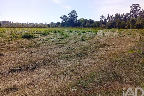 Terra a Ponte de Lima, Viana do Castelo, Ponte de Lima - € 59.000 | Ref: 150633 - foto 26