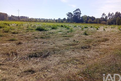 Terra a Ponte de Lima, Viana do Castelo, Ponte de Lima - € 59.000 | Ref: 150633 - foto 27