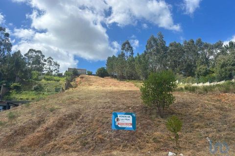 Tomt i Pombal, Leiria, Pombal - € 87 000 | Ref: 146474 - foto 8