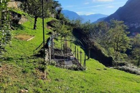 Terra a Cedegolo, Brescia, Cedegolo - € 30.000 | Ref: IMM.131 - foto 3