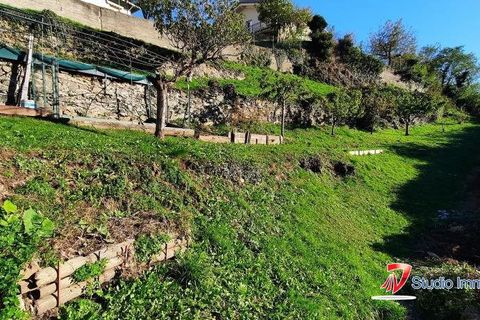 Terra a Cedegolo, Brescia, Cedegolo - € 30.000 | Ref: IMM.131 - foto 4
