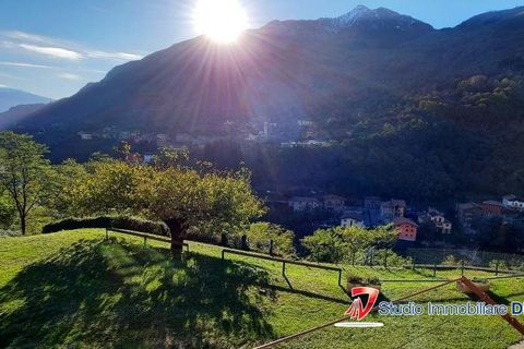 Terra a Cedegolo, Brescia, Cedegolo - € 30.000 | Ref: IMM.131 - foto 5