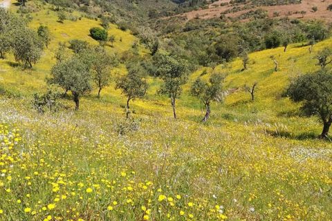 Villa - Serpa, Beja, Serpa - € 429 000 | Réf : SVP2472 - photo 26