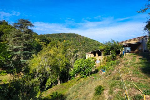 Villa i Limoux, Aude, Limoux - € 890.000 | Ref: 424619CPH - foto 7