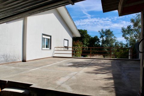 Villa i Pombal, Leiria, Pombal - € 328.000 | Ref: C0381-00822 - foto 11
