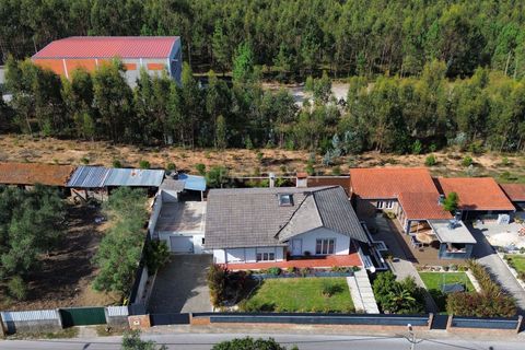 Villa i Pombal, Leiria, Pombal - € 328.000 | Ref: C0381-00822 - foto 43