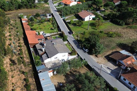 Villa i Pombal, Leiria, Pombal - € 328.000 | Ref: C0381-00822 - foto 44