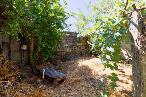 Villa i Castelo Branco, Castelo Branco, Castelo Branco - € 130.000 | Ref: 102250140 - foto 16