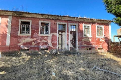 Farm i Lousa, Coimbra, Lousa - € 500.000 | Ref: CR0733 - foto 11