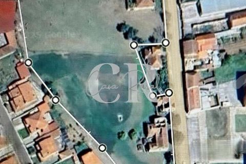 Farm i Lousa, Coimbra, Lousa - € 500.000 | Ref: CR0733 - foto 2