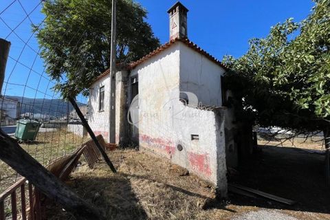 Farm i Lousa, Coimbra, Lousa - € 500.000 | Ref: CR0733 - foto 3