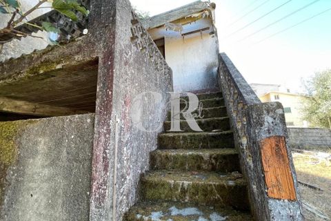 Farm i Lousa, Coimbra, Lousa - € 500.000 | Ref: CR0733 - foto 8